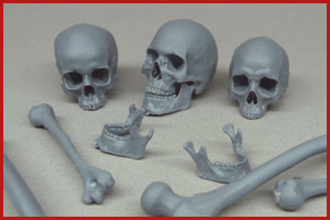 Skulls and Bones  1/9  1/10 scale